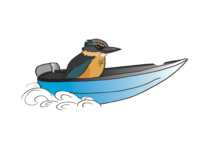 Kingfisher in a boat